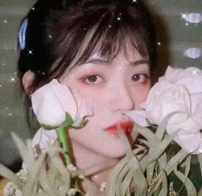 校园风云1992
